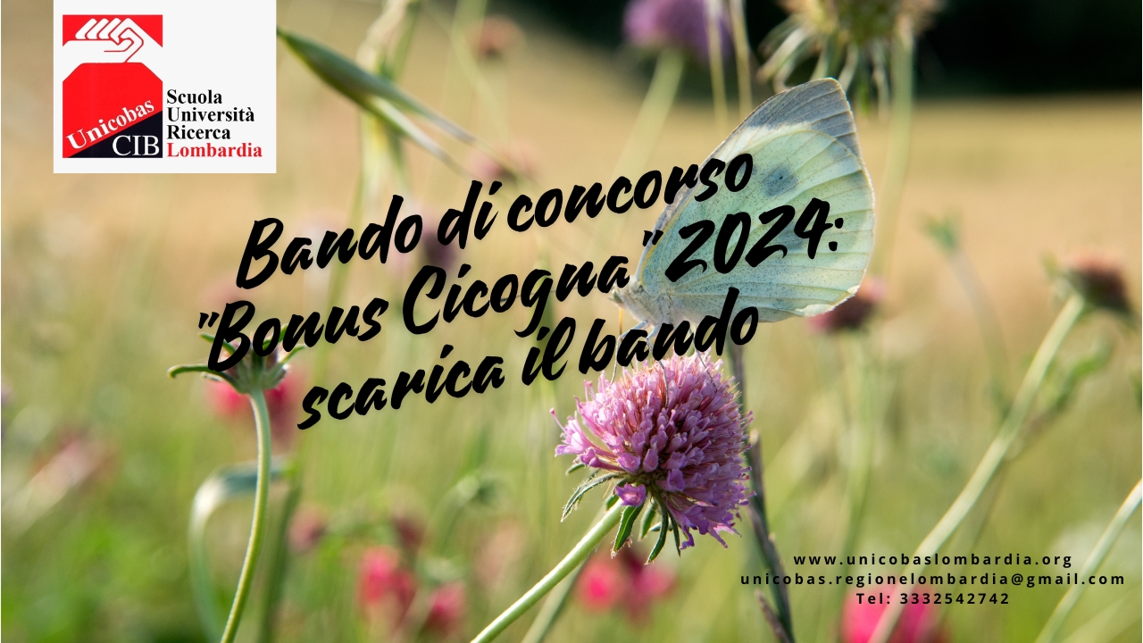 Bando di concorso bonus cicogna 2024 scarica il bando